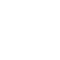 intelleve
